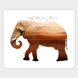 Elephant Animal Forest Wild Jungle Nature World Earth Magnet